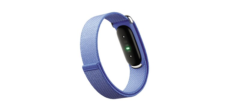 Fitbit Air