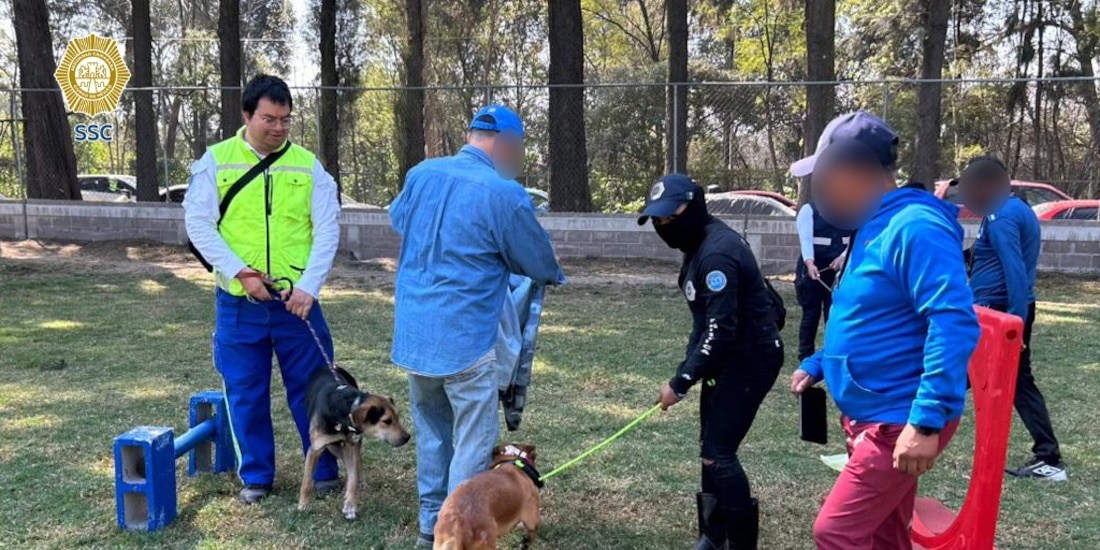 Integrantes del Refugio Franciscano recorren la Brigada de Vigilancia Animal.