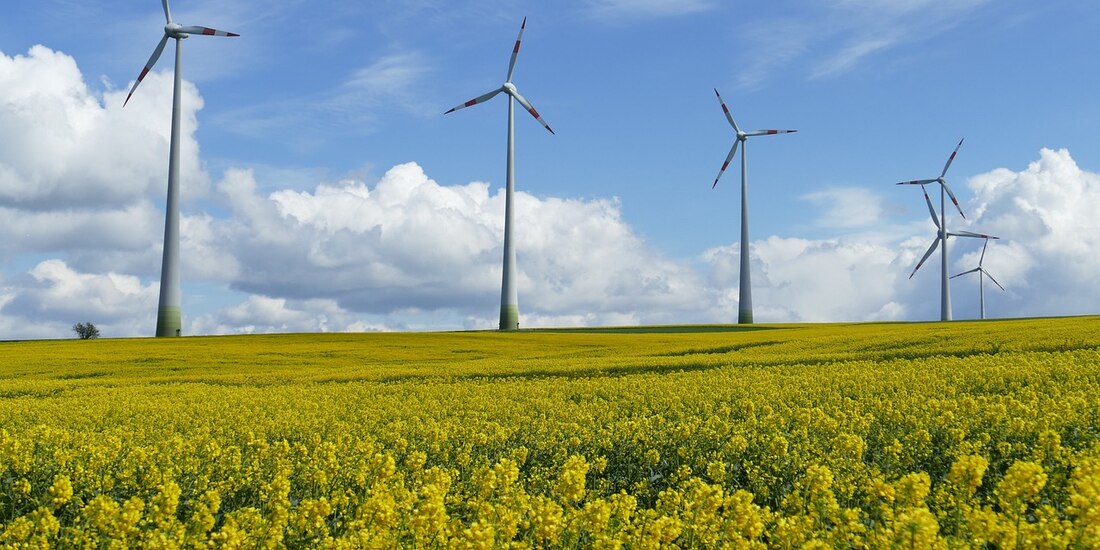 México ocupa el 7o. lugar mundial en energía eólica.