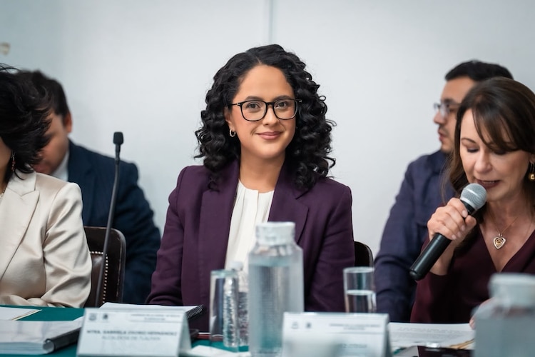 Comparecencia de la alcaldesa de Tlalpan, Gabriela Osorio Hernández.