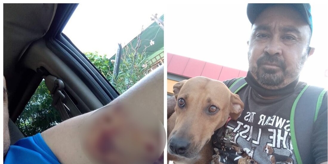 Perrita y hombre se hacen inseparables tras ataque