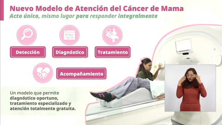 Ejes del nuevo modelo de atención al cáncer de mama.