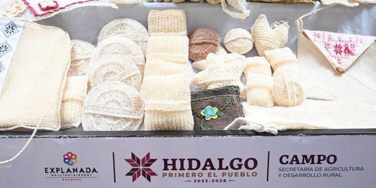 Los productores invitados para participar en esta edición son de los municipios de Tulancingo, Mineral de la Reforma, Tepeapulco, Pachuca de Soto, entre otros.