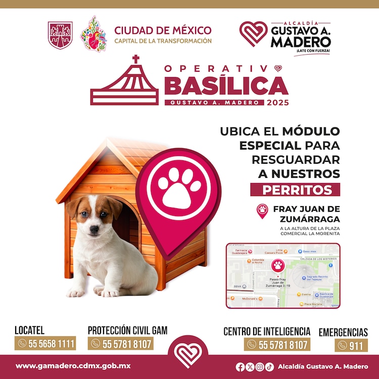 Módulo de resguardo para perritos