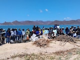 Acciones de la Estrategia Nacional de Limpieza y Conservación de Playas en la Regional Noroeste y Alto Golfo de California