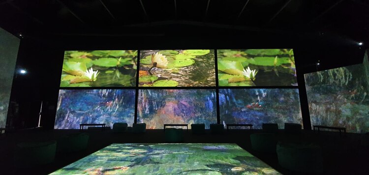 Velas de barcos, árboles y bailarinas tienen movimiento en el show.