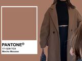 Mocha Mousse es el color Pantone de 2025.