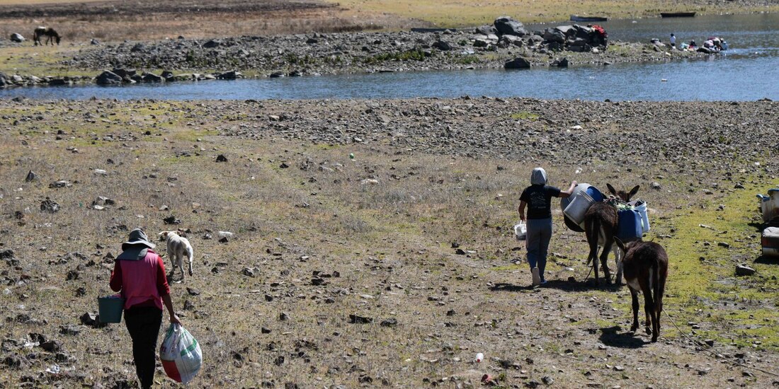 El agro emplea cerca de 75% del agua que existe en el país.