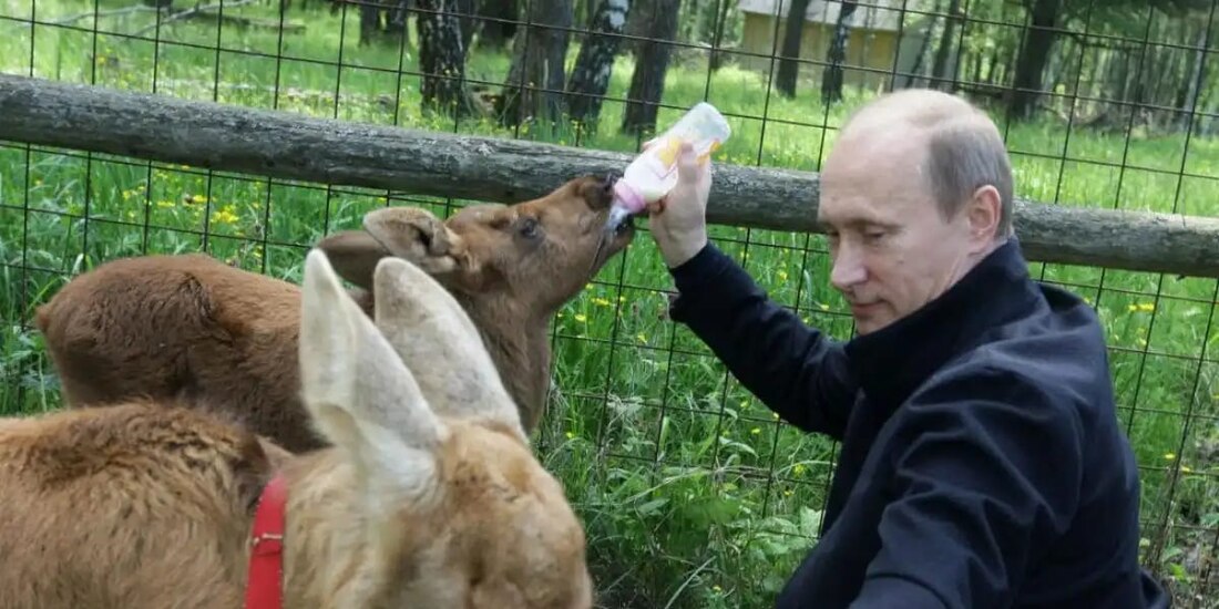 El presidente ruso, en las imágenes compartidas por el Kremlin.