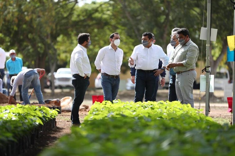 Recorrido del gobernador de Yucatán.