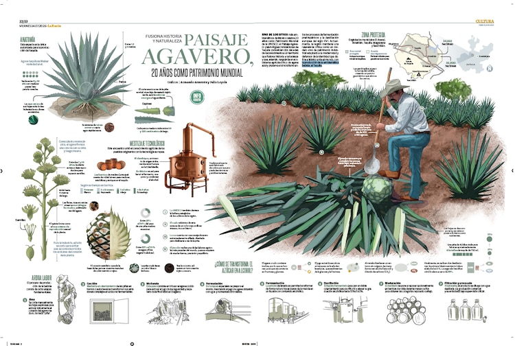 Paisaje Agavero, 20 años como patrimonio mundial