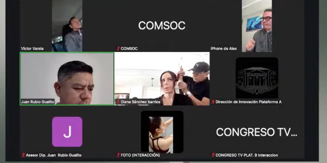 Desde una estética, así votó la diputada Diana Sánchez Barrios durante sesión virtual.