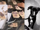 Mujer muestra lo que su perro hizo con su aguinaldo y se viraliza en TikTok