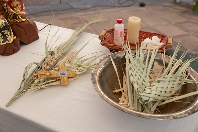 Palmas que serán usadas para crear la ceniza