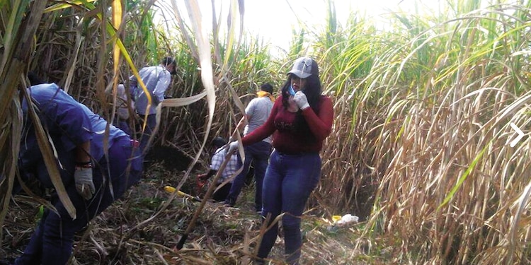 Familias nayaritas buscan restos de sus seres queridos.