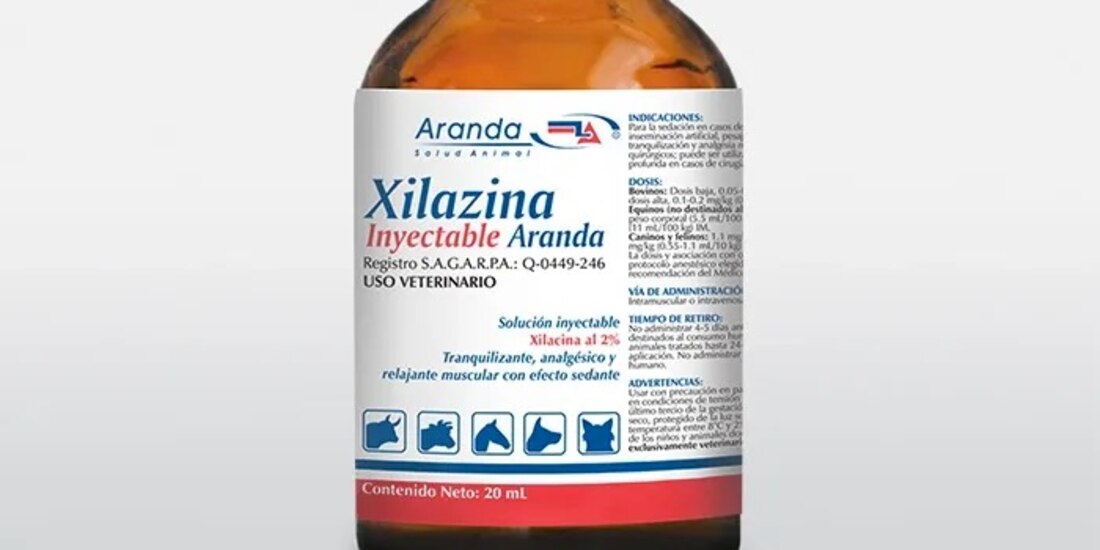 Xilacina, alerta para EU; es de fácil acceso aquí.