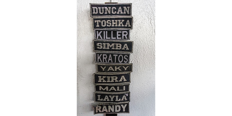 Parches con los nombres de otros elementos K9.