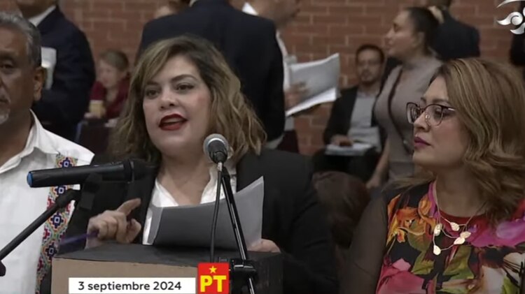 Lilia Aguilar Gil, diputada por el PT.