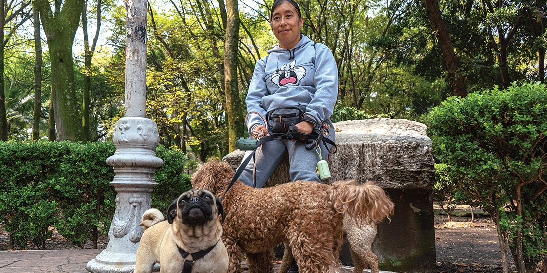 Una mujer pasea con más precaución a tres perros en el Parque España, ayer.