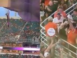 Un gatito cayó del estadio de los Dolphins de Miami