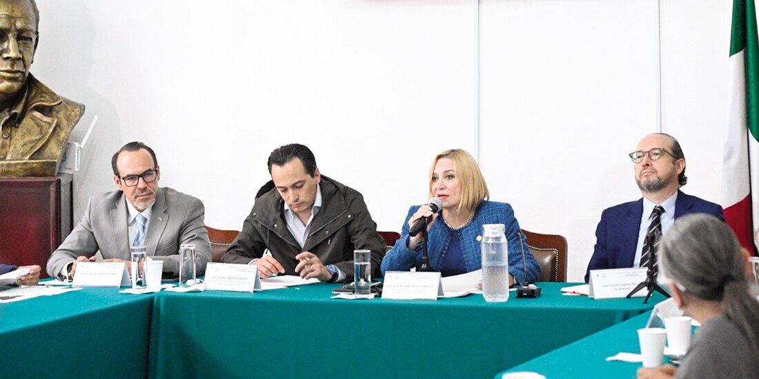 Olivia Garza, al presentar ayer su proyecto.