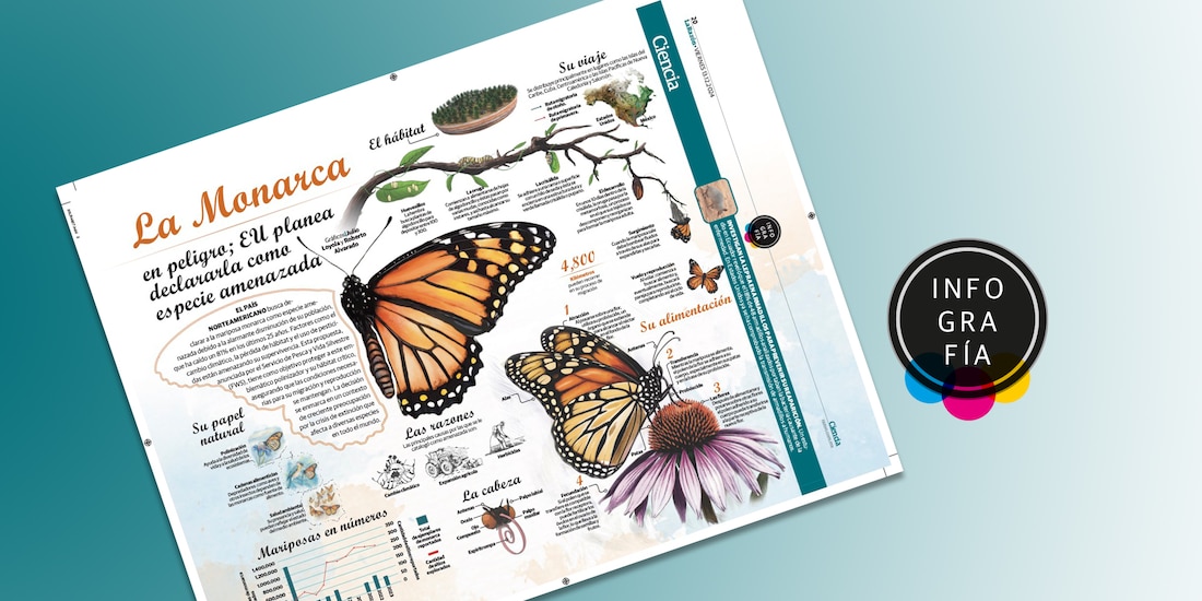 La Monarca en peligro; EU planea declararla como especie amenazada
