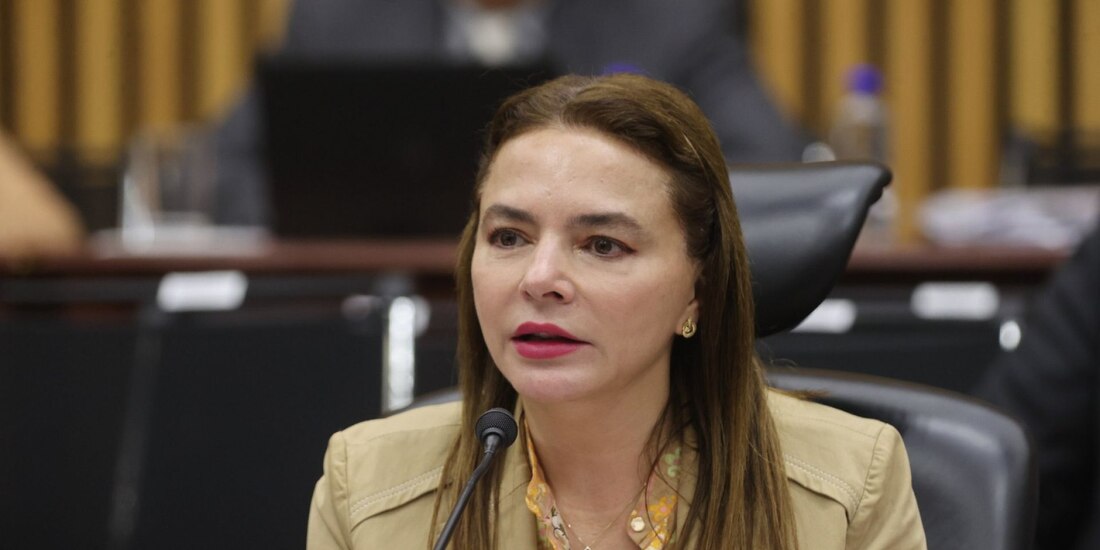 La consejera electoral del INE, Carla Humphrey Jordan