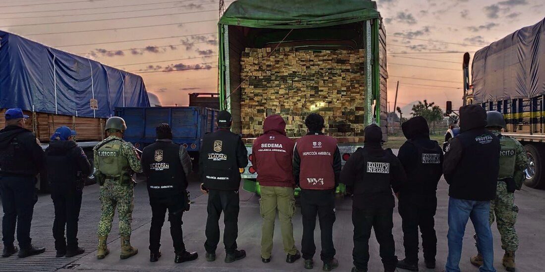 Detienen a un hombre por transportar de manera ilegal productos maderables.