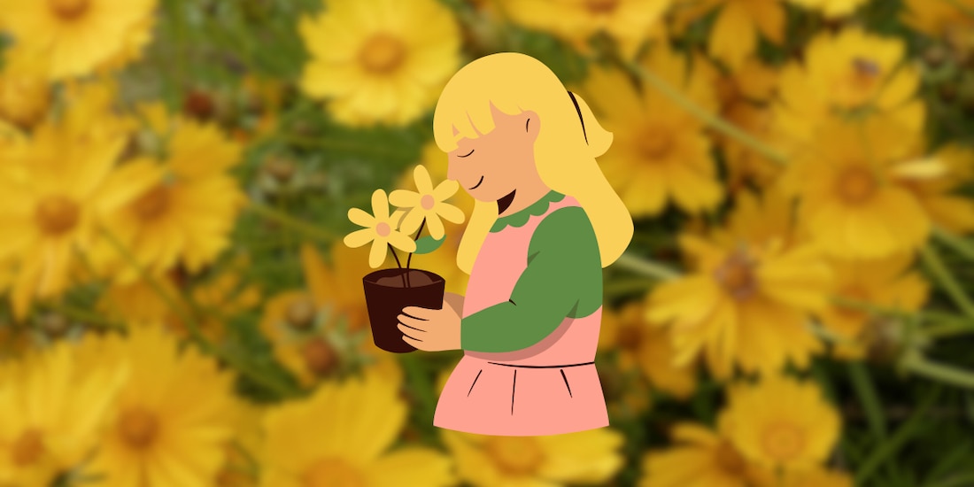 Lo que realmente dice este regalo a la mujer