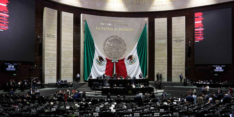 La propuesta fue presentada en la Cámara de Diputados.
