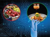 Industria alimentaria llega a la Ciudad de México con innovación agroalimentaria, tecnología y sostenibilidad