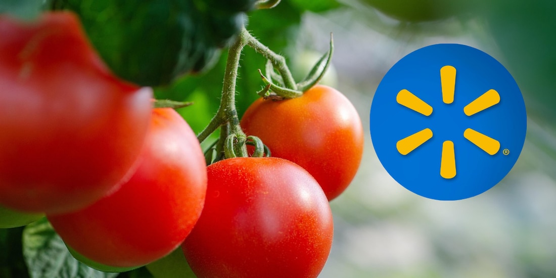 Martes de frescura Walmart HOY