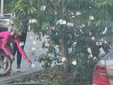El árbol de billetes "apareció" junto a un mensaje en Cali, Colombia