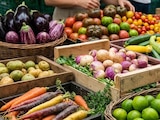 Ven alerta de nueva crisis
agroalimentaria sistémica