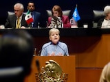 Secretaria de Medio Ambiente y Recursos Naturales, Alicia Bárcena Ibarra