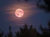 Superluna rosa del mes de abril ¿qué es y cuándo verla?