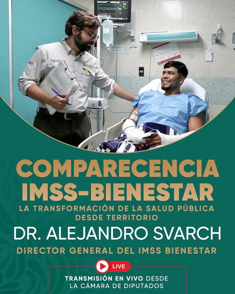 Alejandro Svarch, director general del IMSS-Bienestar, comparece desde la Cámara de Diputados.