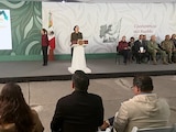 Informe de seguridad desde Tijuana.