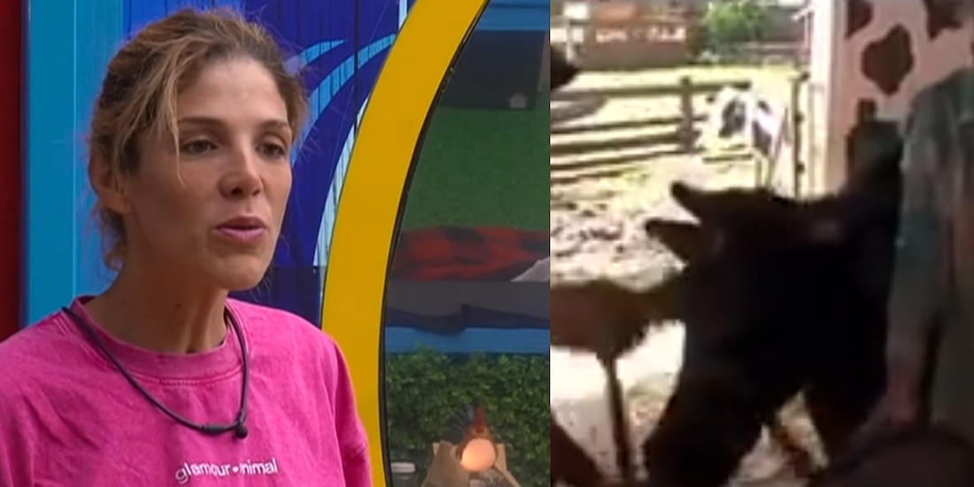 Exigen sanción a Natalia Alcocer por maltratar a vaca de La Granja VIP