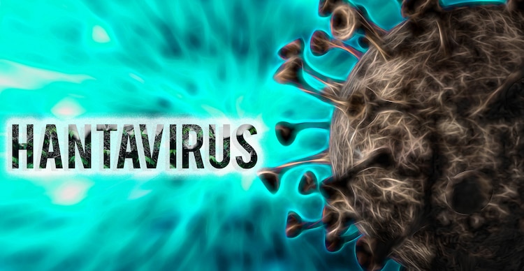 Hantavirus