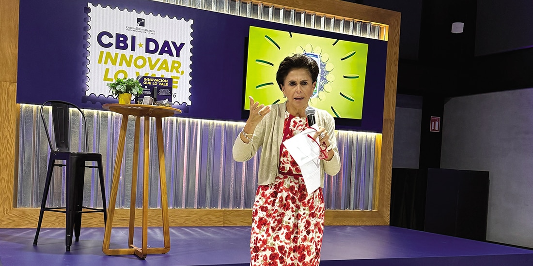 Nina Mayagoitia, vicepresidenta de Comunicación de la firma, ayer en conferencia.