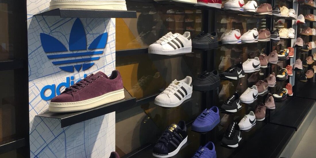 ara mala fortuna de los ladrones, se llevaron en su mayoría el calzado del pie izquierdo