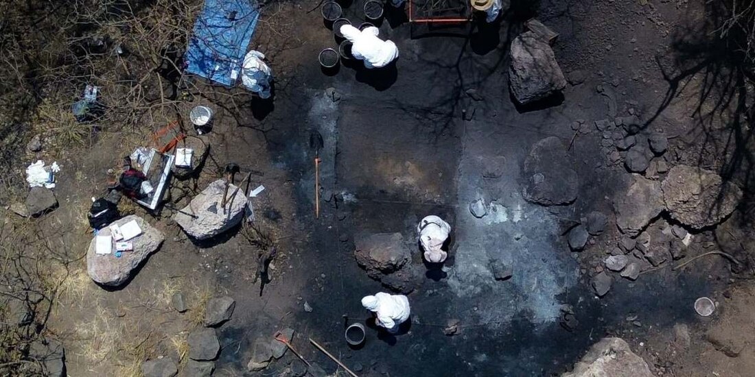 Crematorio de Iztapalapa: restos hallados son de perros, afirma Fiscalía de la CDMX.