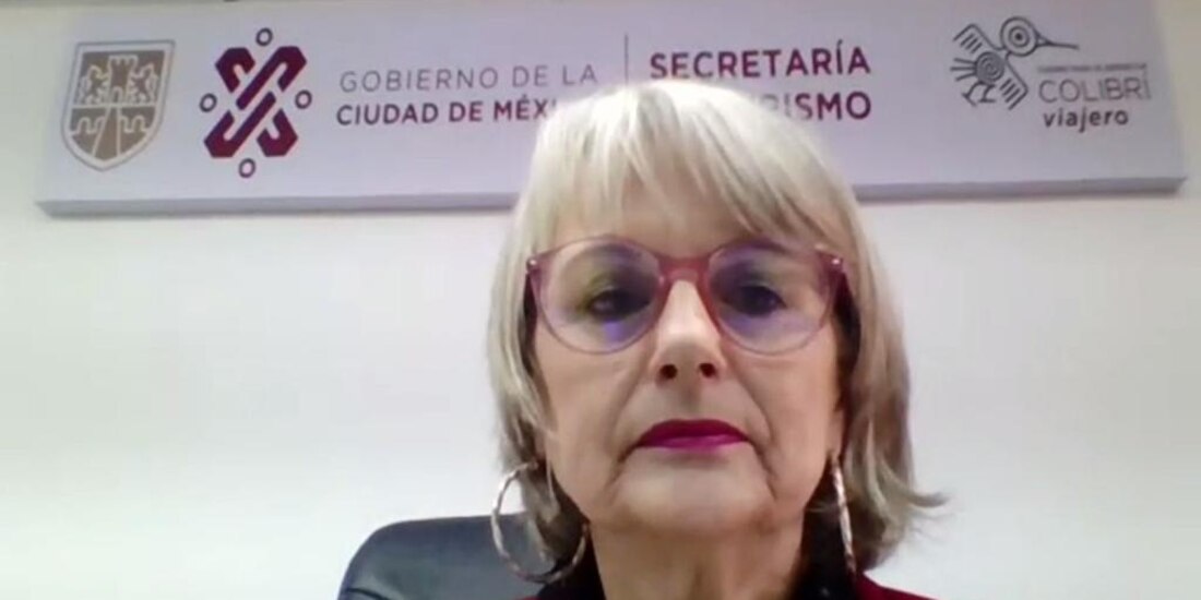 La funcionaria, durante su comparecencia virtual ante el Congreso, ayer.