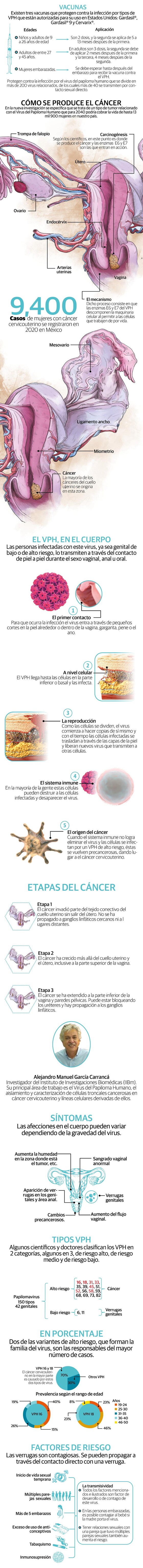 La causa es un grupo de virus considerados de alto riesgo que forman la familia VPH, de la cual se conocen 221 variantes