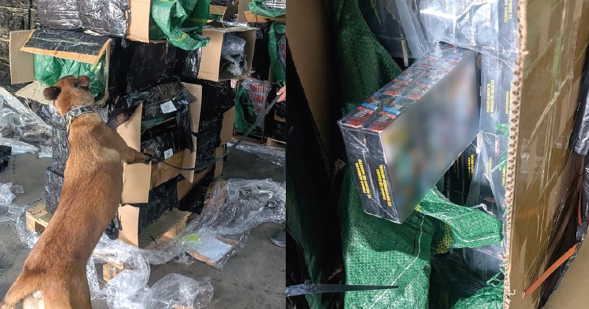 Van 33 millones de cigarros asegurados durante septiembre