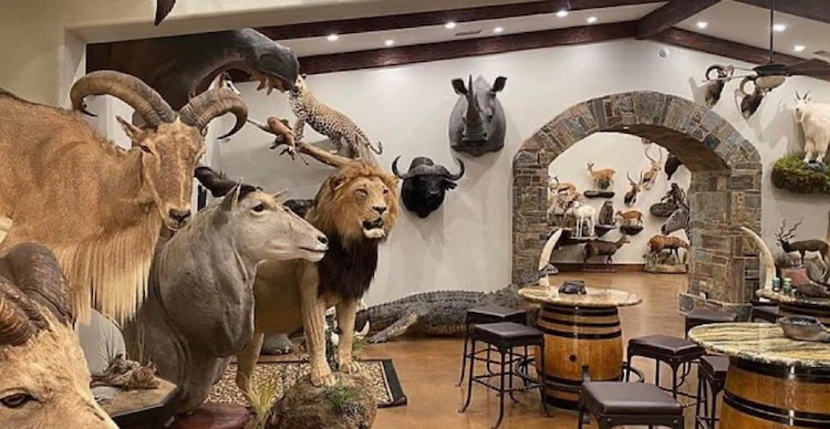 Sala de Ernie Dosio