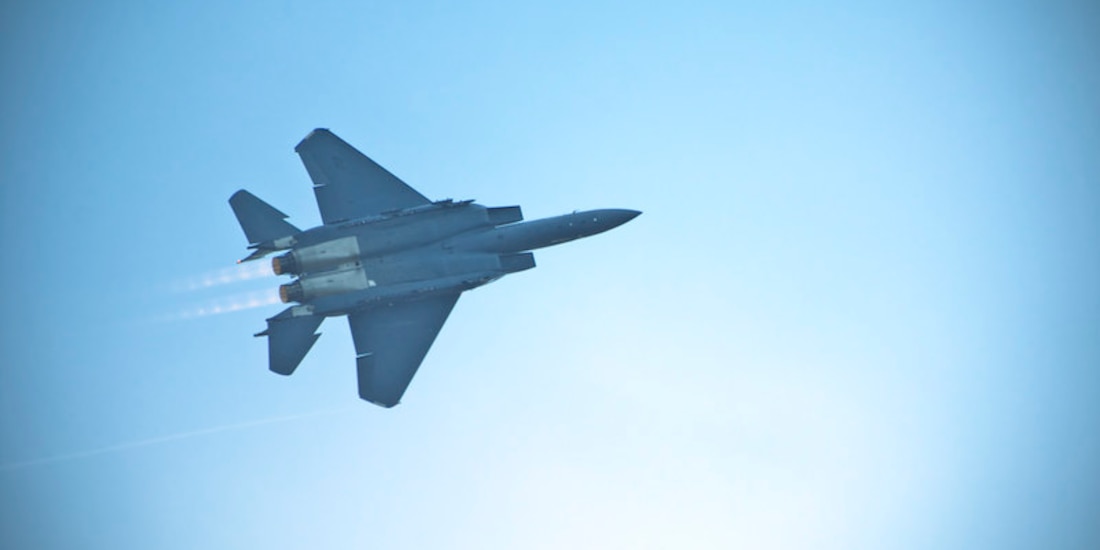 Aspecto de un caza tipo F-15.