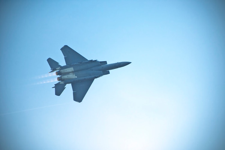 Aspecto de un caza tipo F-15.