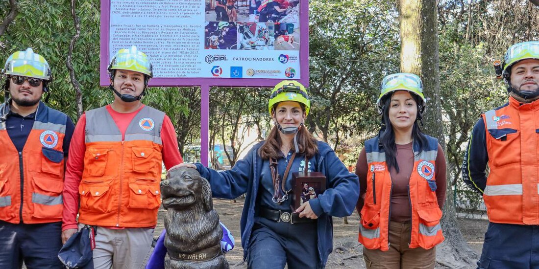 Inauguran estatua para Nalah, perrita rescatista en 19-S